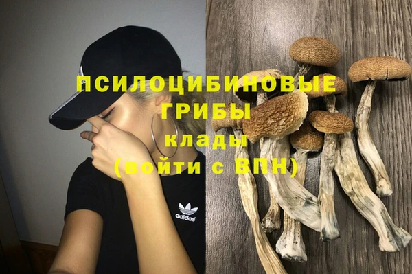 кокс Медвежьегорск