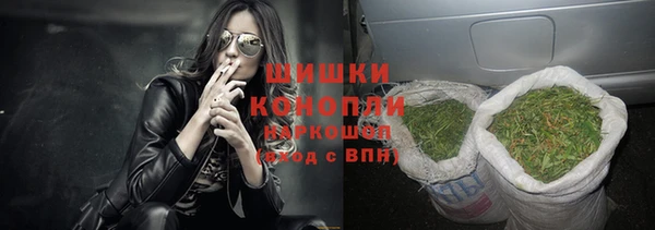 индика Мегион