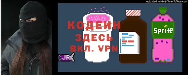 хмурый Михайловск