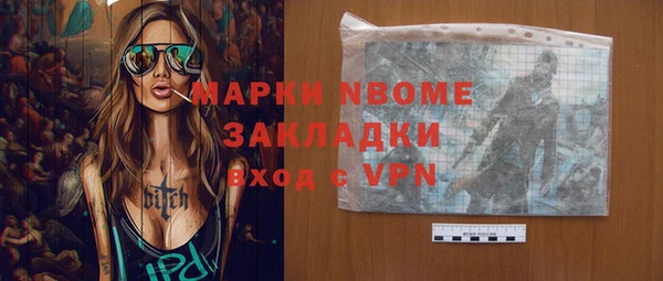 индика Мегион