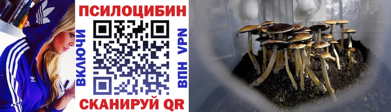 Псилоцибиновые грибы ЛСД  Людиново 