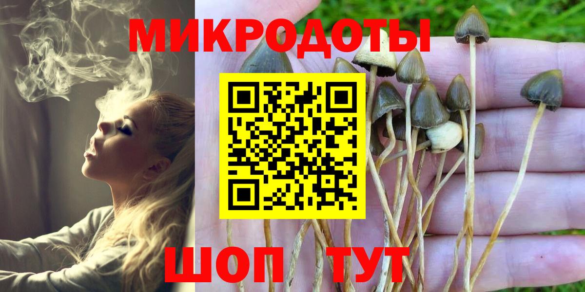 Псилоцибиновые грибы MAGIC MUSHROOMS Людиново