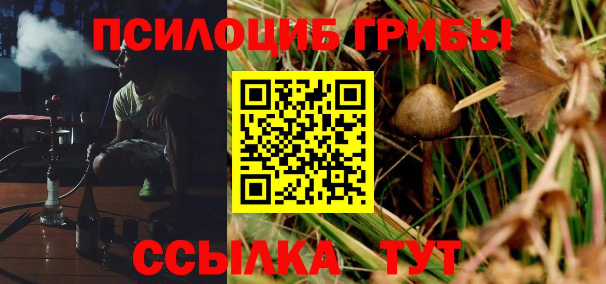 Галлюциногенные грибы Magic Shrooms  дарнет шоп  Людиново  Вход с VPN 